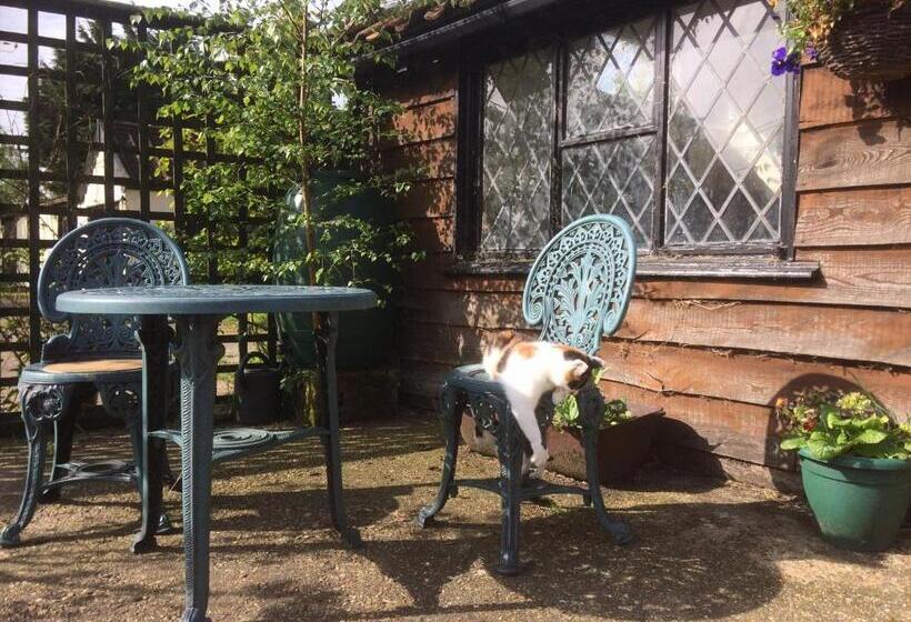 דירת חדר בקומת קרקע, Valley Farmhouse B&b