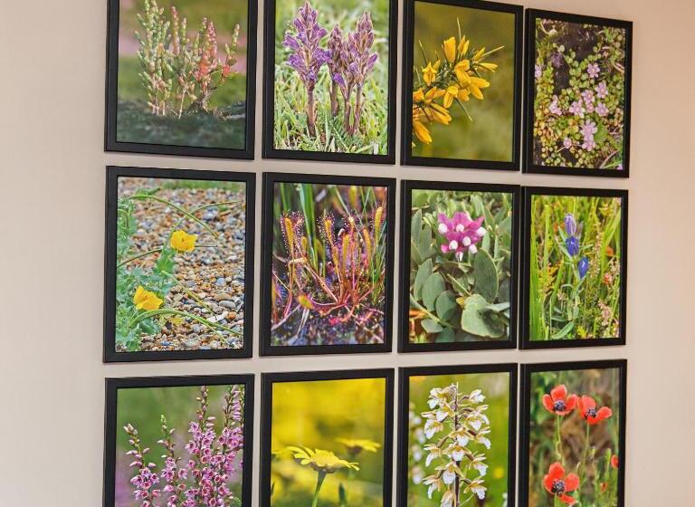 豪华房间, Byfords