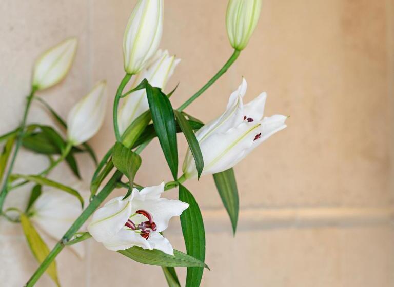 豪华房间, Byfords