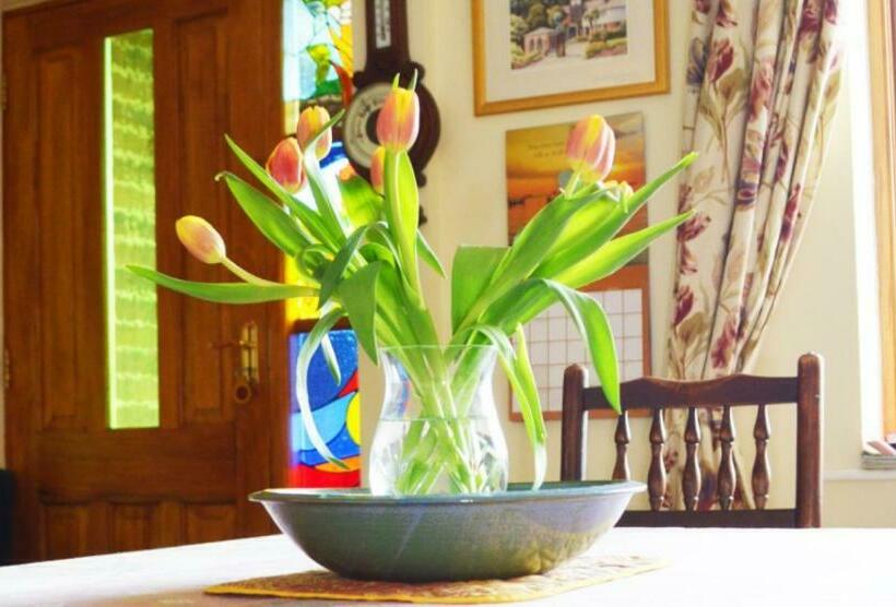 Номер Стандарт, Dove Meadow