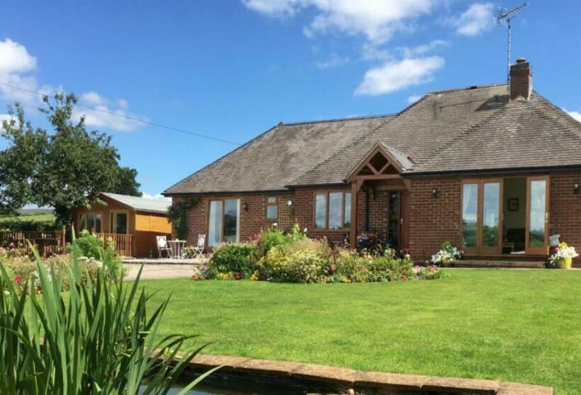 Номер Стандарт, Dove Meadow