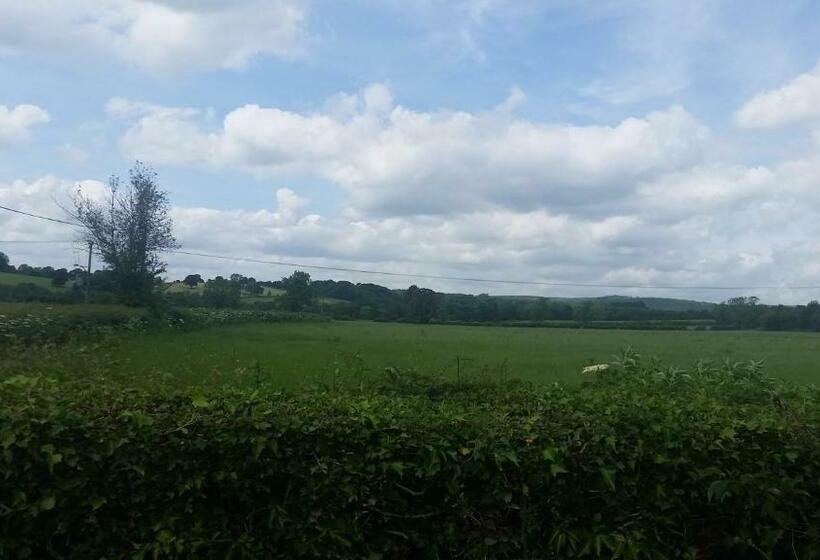 Номер Стандарт, Dove Meadow