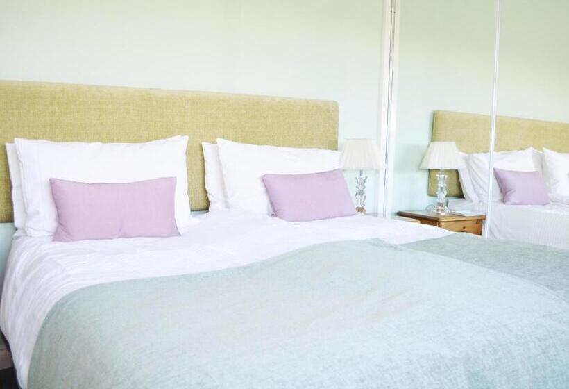 Номер Стандарт, Dove Meadow