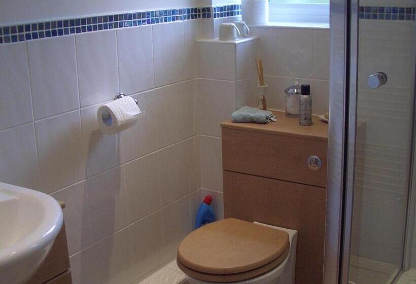 Номер Стандарт, Dove Meadow