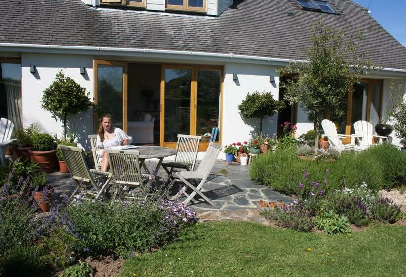 اتاق لوکس, Nearwater