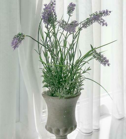 غرفة ديلوكس, The Garden House Grittleton