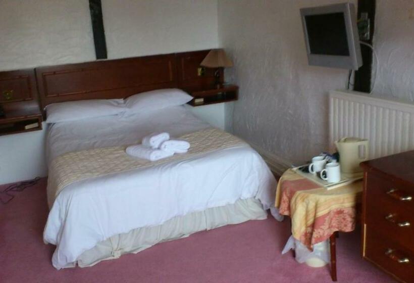 Номер Стандарт, The Griffin