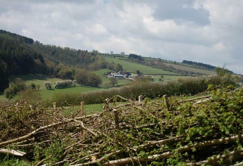 ガーデンビューデラックスルーム, Middle Woodbatch B&b