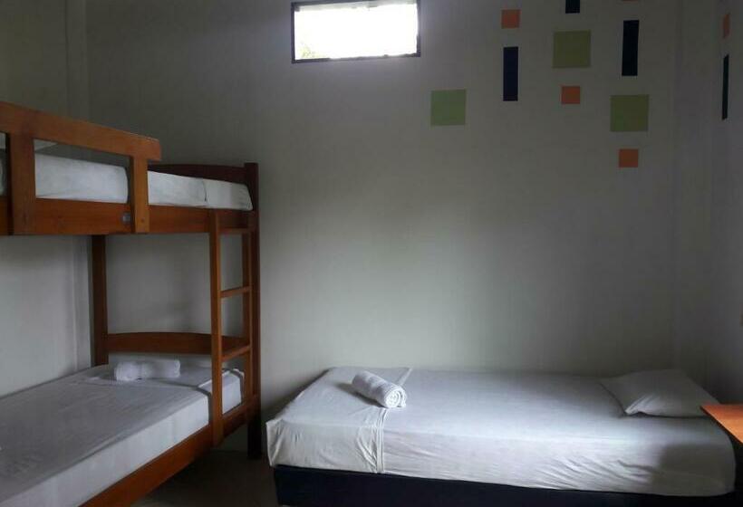 اتاق چهار تخته با دستشویی مشترک, Hostal Casa Taisha