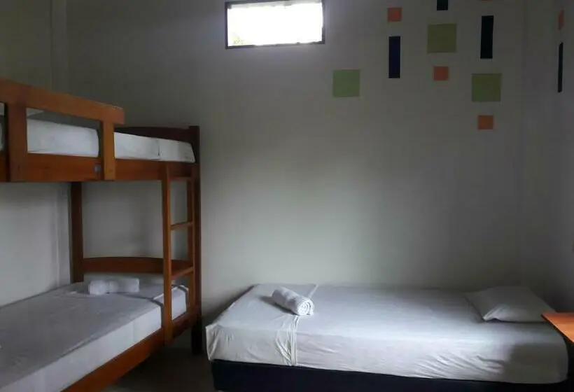Neljän hengen Economy-huone jaetulla kylpyhuoneella, Hostal Casa Taisha