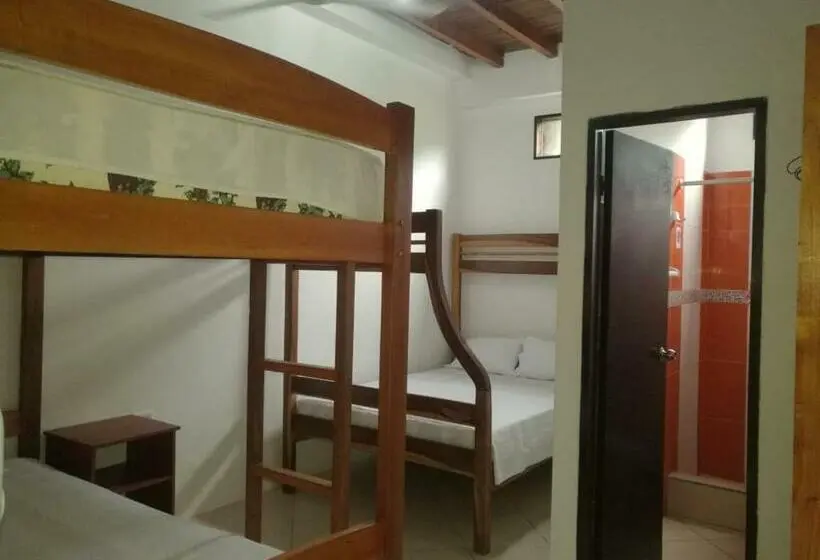 Standard Neljän Hengen Huone, Hostal Casa Taisha