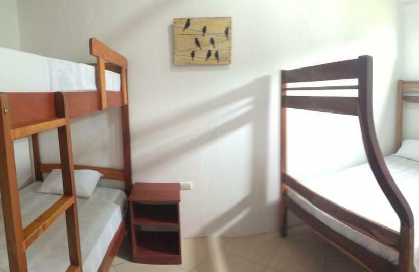 اتاق استاندارد چهار تخته, Hostal Casa Taisha