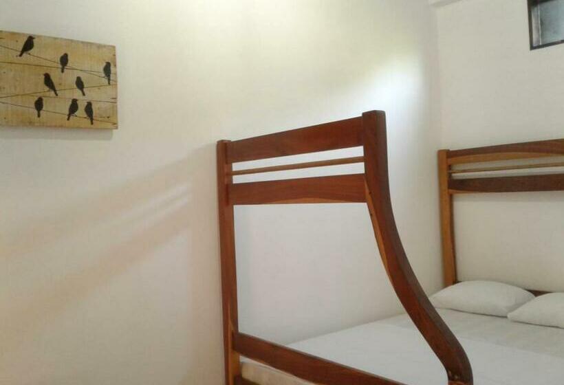 اتاق استاندارد چهار تخته, Hostal Casa Taisha