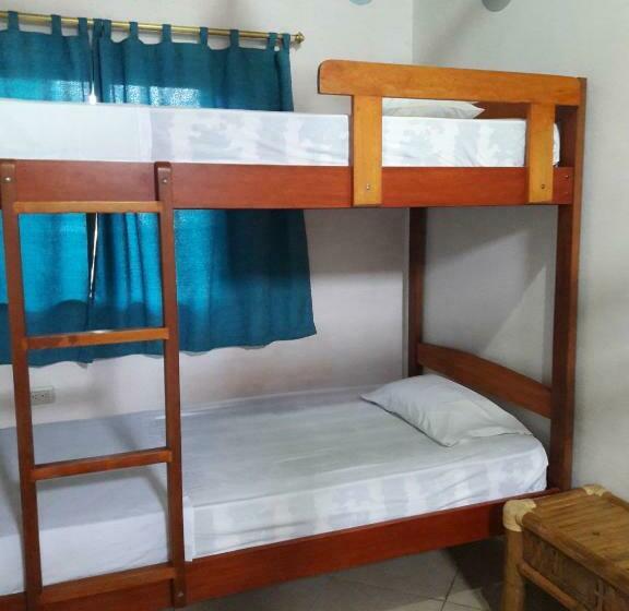 اتاق استاندارد چهار تخته, Hostal Casa Taisha