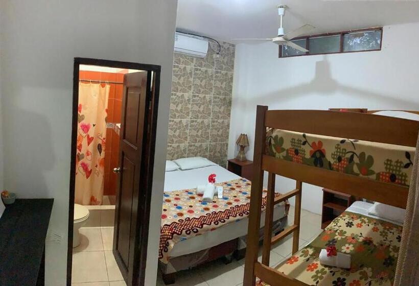 اتاق استاندارد چهار تخته, Hostal Casa Taisha