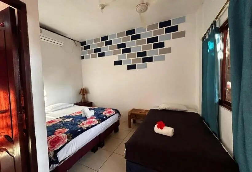 Standard Kolmen Hengen Huone, Hostal Casa Taisha