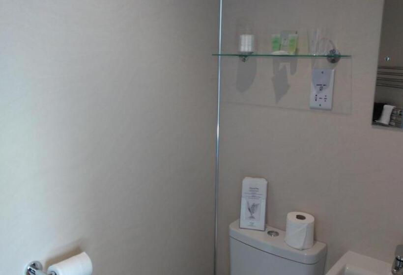 חדר סופריור יחיד, Swiss Court Guest House