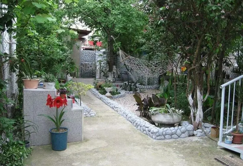 اتاق خانوادگی, Hostel Temuri