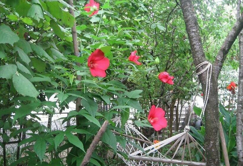 اتاق خانوادگی, Hostel Temuri