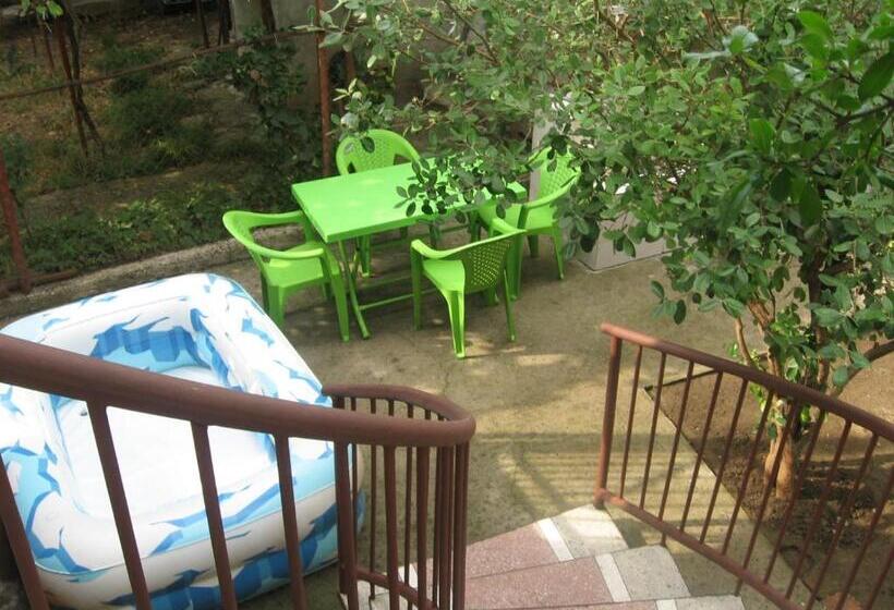 اتاق لوکس, Hostel Temuri