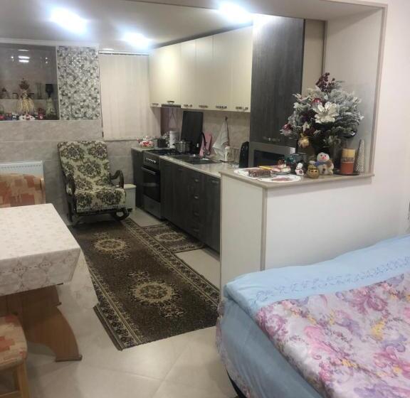 استودیوی لوکس, Hostel Temuri