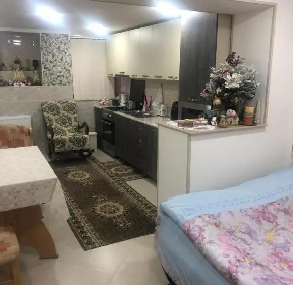 استودیوی لوکس, Hostel Temuri