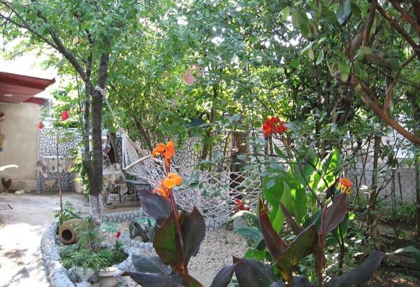 استودیوی لوکس, Hostel Temuri