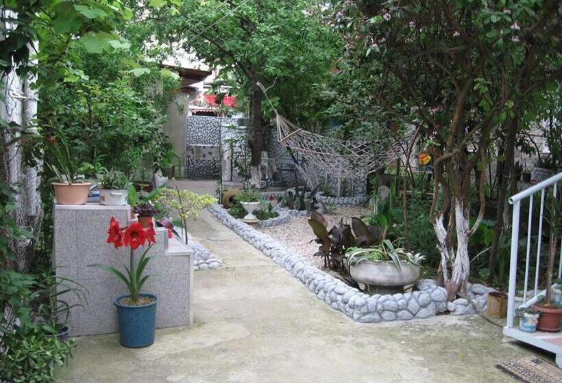 استودیوی لوکس, Hostel Temuri