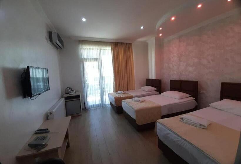 اتاق استاندارد سه نفره, Royal Palace