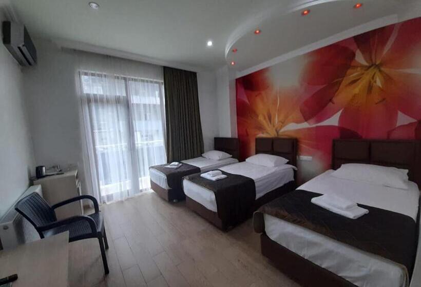 اتاق استاندارد سه نفره, Royal Palace