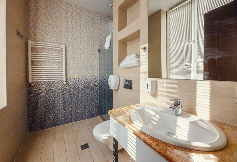 اتاق استاندارد, Park Hotel Tskaltubo   Balneo Resort