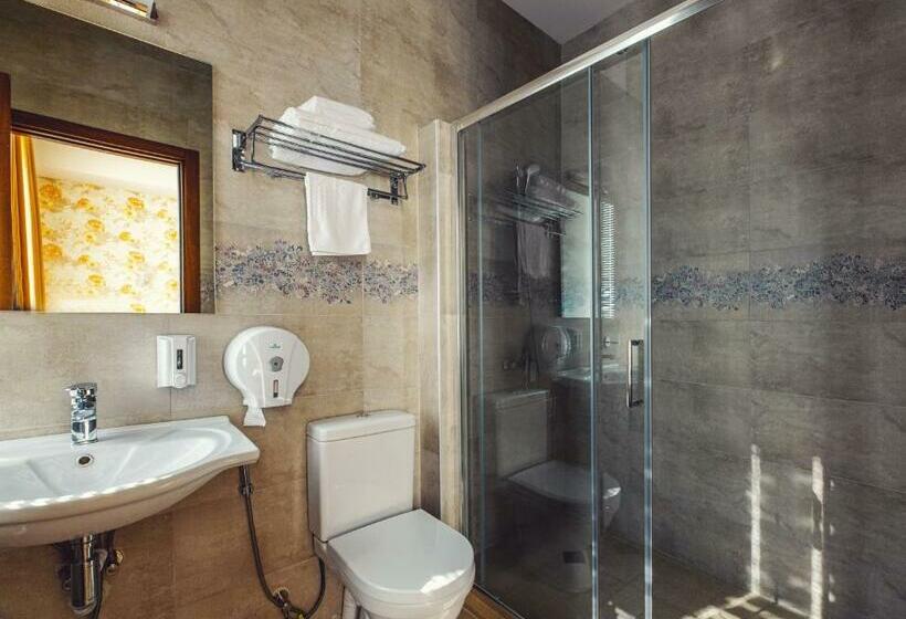 اتاق استاندارد, Park Hotel Tskaltubo Balneo Resort