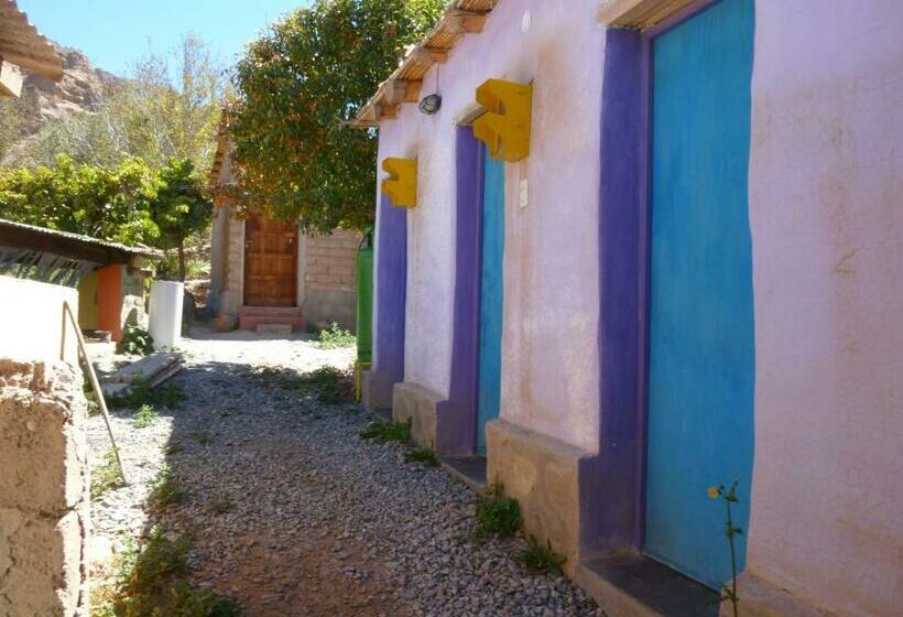 מיטה בחדר משותף, Casa Colores