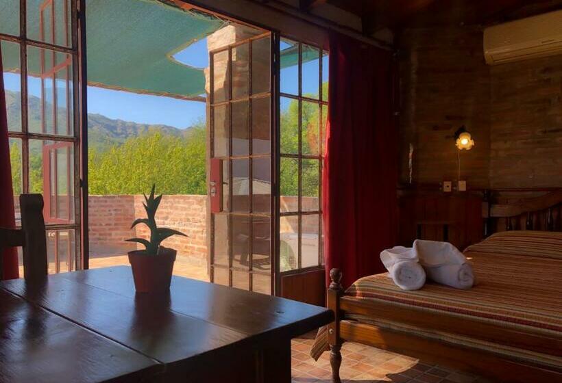 Standaardkamer met Terras, Hostal Las Golondrinas