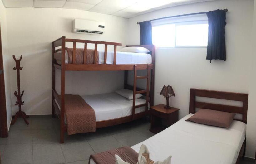 スタンダードトリプルルーム, Ummagumma