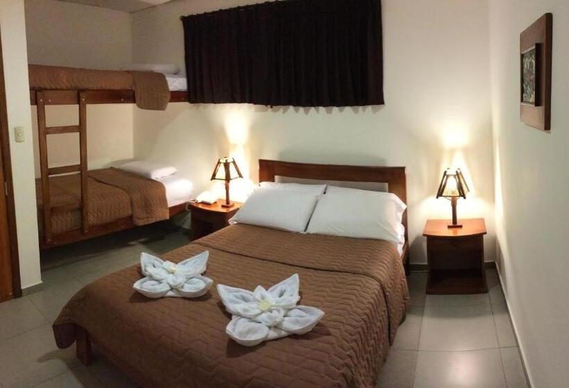 スタンダード4人部屋, Ummagumma