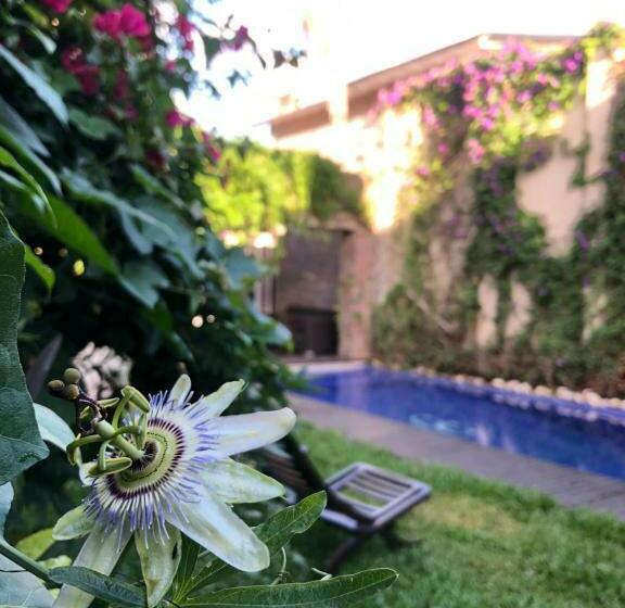 자쿠지 스위트, Cool Clima B&b