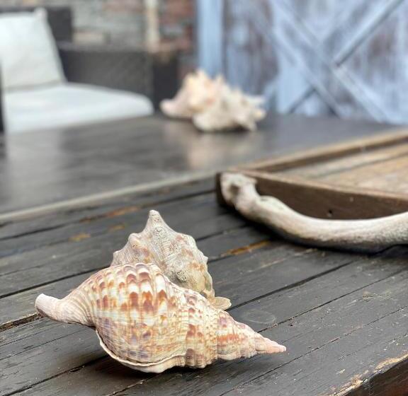 디럭스 방갈로, Cool Clima B&b