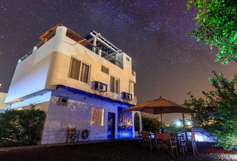 اتاق اساندارد با چشم‌انداز جانبی به دریا, Drake Inn
