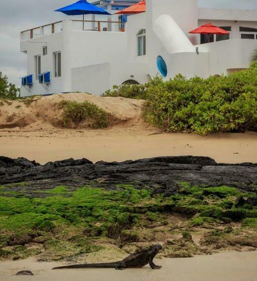 غرفة قياسية إطلالة جانبية علي البحر, Drake Inn