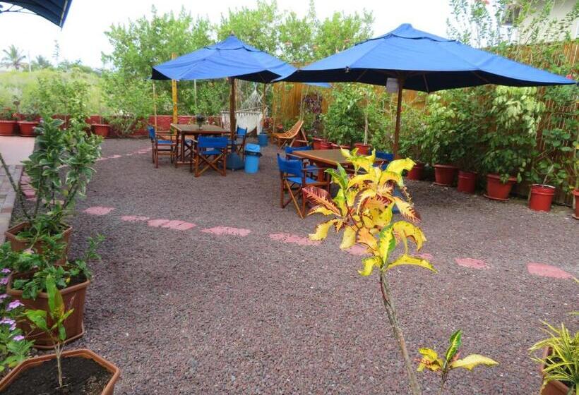 غرفة قياسية إطلالة جانبية علي البحر, Drake Inn