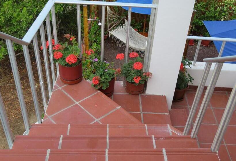 جناح غرفتين نوم, Drake Inn