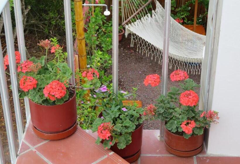 جناح غرفتين نوم, Drake Inn