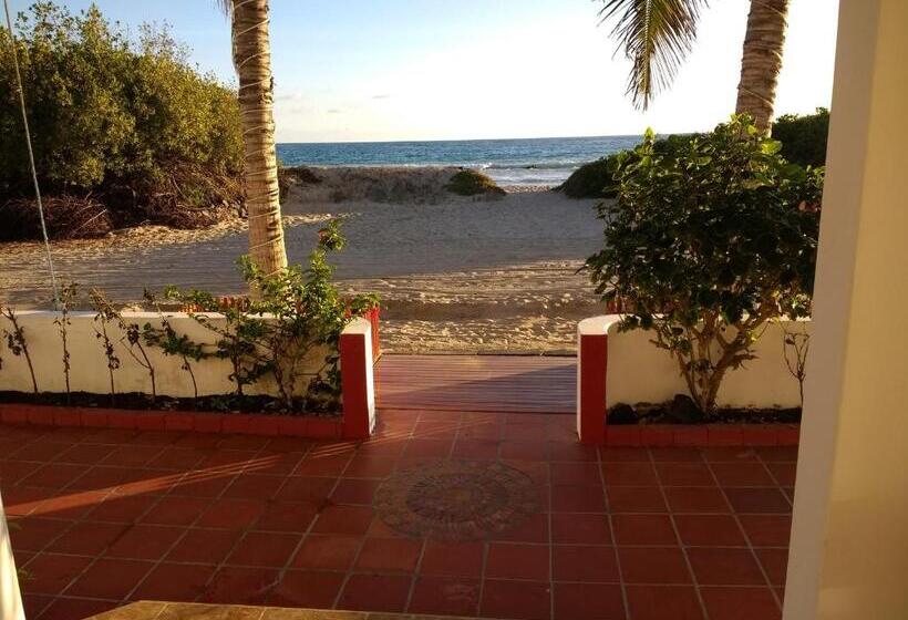 اتاق سوپریور, Drake Inn