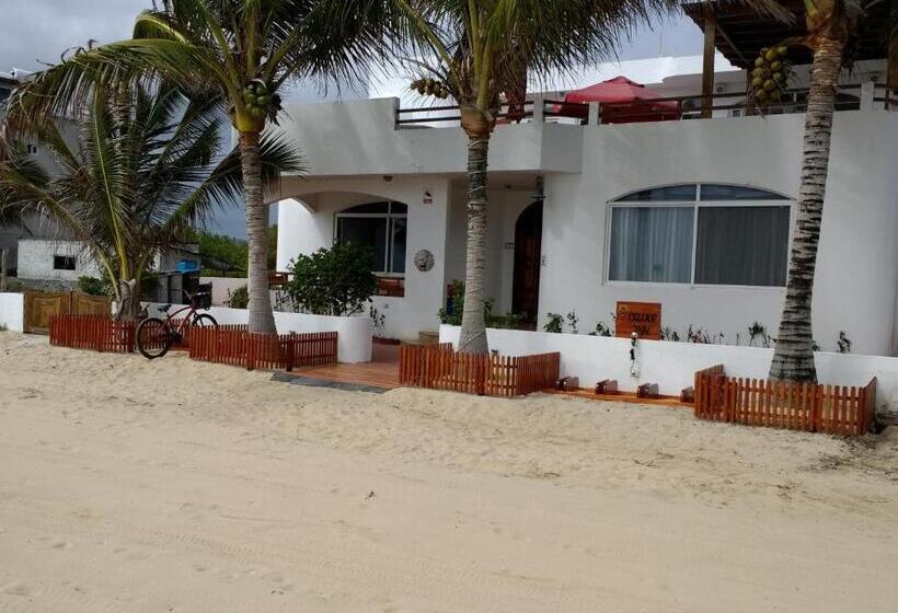 جناح جونيور عائلى, Drake Inn