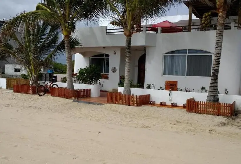 سوئیت جونیور خانوادگی, Drake Inn