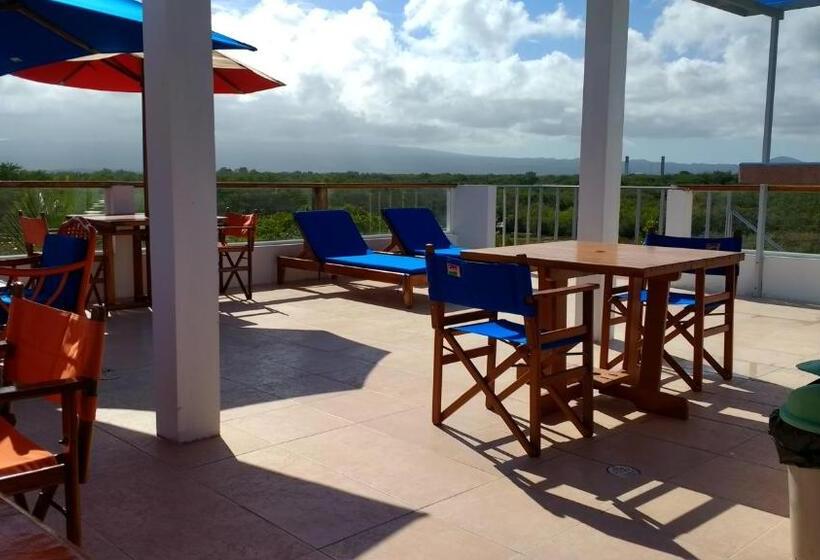 اتاق استاندارد با چشمانداز باغ, Drake Inn