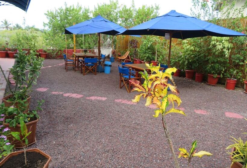 غرفة قياسية مطلّة علي الحديقة, Drake Inn