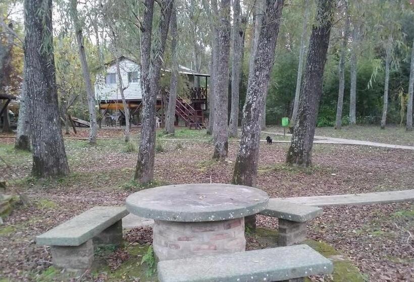 スタンダードルーム, Alpenhaus Bier Und Gasthaus