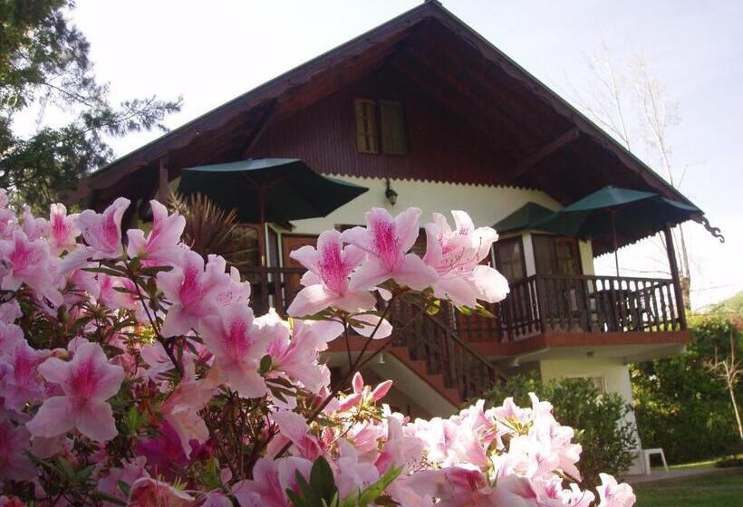 バルコニー付きデラックスルーム, Alpenhaus Bier Und Gasthaus